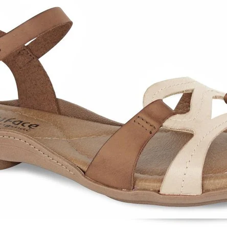 NEW 37345 telha ostra